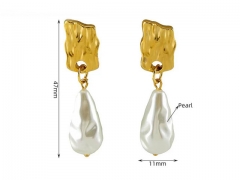 HY Wholesale Jewelry Earrings 316L Stainless Steel Earrings Jewelry-HY0082E0113