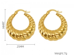 HY Wholesale Jewelry Earrings 316L Stainless Steel Earrings Jewelry-HY0082E0009