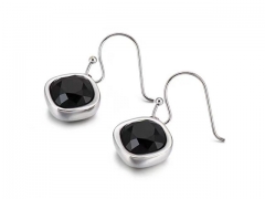 HY Wholesale Jewelry Earrings 316L Stainless Steel Earrings Jewelry-HY0151E1251