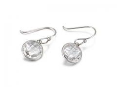 HY Wholesale Jewelry Earrings 316L Stainless Steel Earrings Jewelry-HY0151E0873