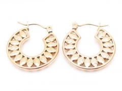 HY Wholesale Jewelry Earrings 316L Stainless Steel Earrings Jewelry-HY0151E0725