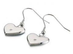 HY Wholesale Jewelry Earrings 316L Stainless Steel Earrings Jewelry-HY0151E0912