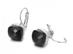 HY Wholesale Jewelry Earrings 316L Stainless Steel Earrings Jewelry-HY0151E0897