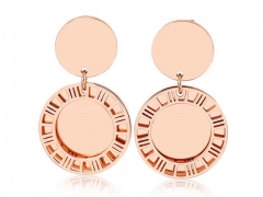 HY Wholesale Jewelry Earrings 316L Stainless Steel Earrings Jewelry-HY0151E1109