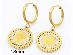 HY Wholesale Jewelry Earrings 316L Stainless Steel Earrings Jewelry-HY0151E0210