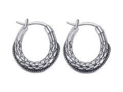 HY Wholesale Jewelry Popular Earrings 316L Stainless Steel Earrings Jewelry-HY0157E0193