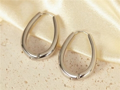 HY Wholesale Jewelry Popular Earrings 316L Stainless Steel Earrings Jewelry-HY0157E0082