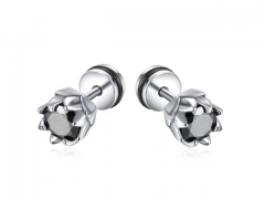 HY Wholesale Jewelry Popular Earrings 316L Stainless Steel Earrings Jewelry-HY0157E0066