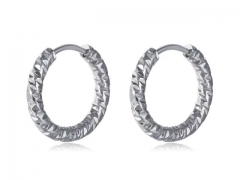 HY Wholesale Jewelry Popular Earrings 316L Stainless Steel Earrings Jewelry-HY0157E0018