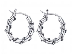 HY Wholesale Jewelry Popular Earrings 316L Stainless Steel Earrings Jewelry-HY0157E0146