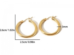 HY Wholesale Jewelry Popular Earrings 316L Stainless Steel Earrings Jewelry-HY0158E0393