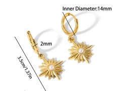 HY Wholesale Jewelry Popular Earrings 316L Stainless Steel Earrings Jewelry-HY0158E0692