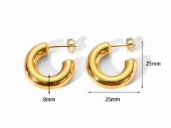 HY Wholesale Jewelry Popular Earrings 316L Stainless Steel Earrings Jewelry-HY0158E0058