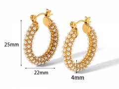 HY Wholesale Jewelry Popular Earrings 316L Stainless Steel Earrings Jewelry-HY0158E0591