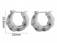 HY Wholesale Jewelry Popular Earrings 316L Stainless Steel Earrings Jewelry-HY0158E0324