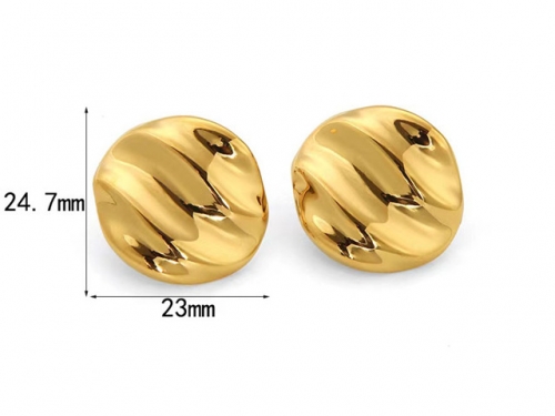 HY Wholesale Jewelry Popular Earrings 316L Stainless Steel Earrings Jewelry-HY0158E0291