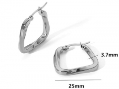 HY Wholesale Jewelry Popular Earrings 316L Stainless Steel Earrings Jewelry-HY0158E0518