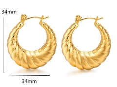 HY Wholesale Jewelry Popular Earrings 316L Stainless Steel Earrings Jewelry-HY0158E0612