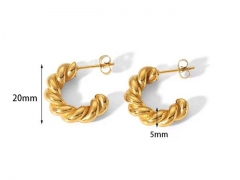 HY Wholesale Jewelry Popular Earrings 316L Stainless Steel Earrings Jewelry-HY0158E0111