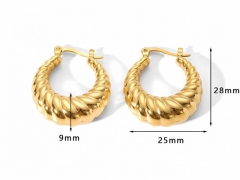 HY Wholesale Jewelry Popular Earrings 316L Stainless Steel Earrings Jewelry-HY0158E0065