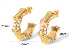 HY Wholesale Jewelry Popular Earrings 316L Stainless Steel Earrings Jewelry-HY0158E0781