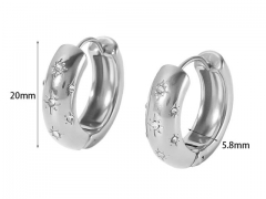 HY Wholesale Jewelry Popular Earrings 316L Stainless Steel Earrings Jewelry-HY0158E0170