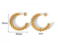 HY Wholesale Jewelry Popular Earrings 316L Stainless Steel Earrings Jewelry-HY0158E0103