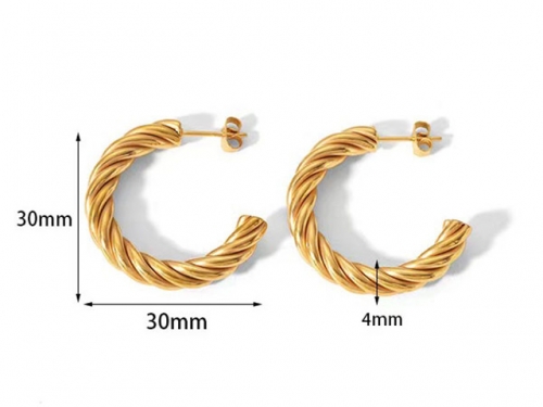 HY Wholesale Jewelry Popular Earrings 316L Stainless Steel Earrings Jewelry-HY0158E0103