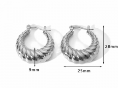 HY Wholesale Jewelry Popular Earrings 316L Stainless Steel Earrings Jewelry-HY0158E0074