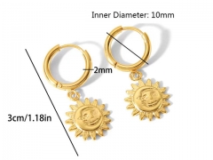 HY Wholesale Jewelry Popular Earrings 316L Stainless Steel Earrings Jewelry-HY0158E0331