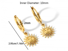 HY Wholesale Jewelry Popular Earrings 316L Stainless Steel Earrings Jewelry-HY0158E0334