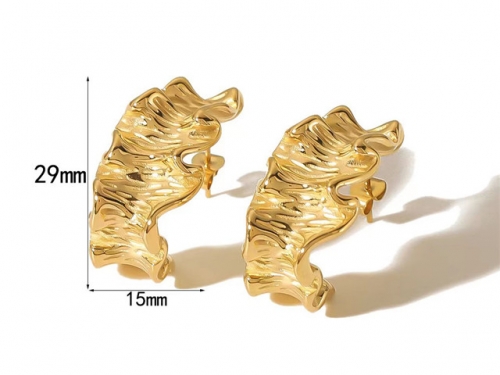 HY Wholesale Jewelry Popular Earrings 316L Stainless Steel Earrings Jewelry-HY0158E0313