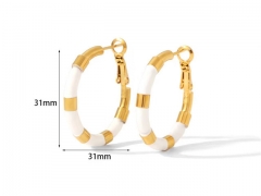 HY Wholesale Jewelry Popular Earrings 316L Stainless Steel Earrings Jewelry-HY0158E0190