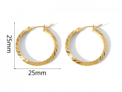 HY Wholesale Jewelry Popular Earrings 316L Stainless Steel Earrings Jewelry-HY0158E0677