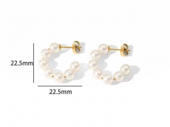 HY Wholesale Jewelry Popular Earrings 316L Stainless Steel Earrings Jewelry-HY0158E0172