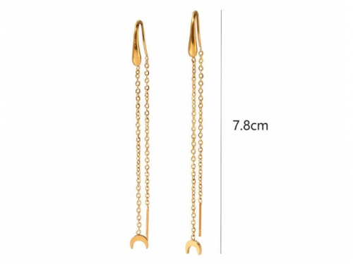 HY Wholesale Jewelry Popular Earrings 316L Stainless Steel Earrings Jewelry-HY0158E0718