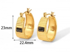 HY Wholesale Jewelry Popular Earrings 316L Stainless Steel Earrings Jewelry-HY0158E0729