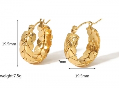 HY Wholesale Jewelry Popular Earrings 316L Stainless Steel Earrings Jewelry-HY0158E0582