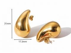 HY Wholesale Jewelry Popular Earrings 316L Stainless Steel Earrings Jewelry-HY0158E0013