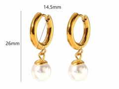 HY Wholesale Jewelry Popular Earrings 316L Stainless Steel Earrings Jewelry-HY0158E0556