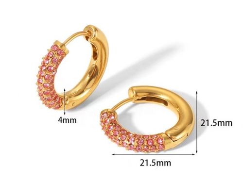 HY Wholesale Jewelry Popular Earrings 316L Stainless Steel Earrings Jewelry-HY0158E0686