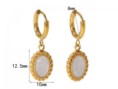 HY Wholesale Jewelry Popular Earrings 316L Stainless Steel Earrings Jewelry-HY0158E0300