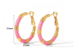 HY Wholesale Jewelry Popular Earrings 316L Stainless Steel Earrings Jewelry-HY0158E0189