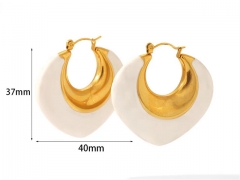 HY Wholesale Jewelry Popular Earrings 316L Stainless Steel Earrings Jewelry-HY0158E0494