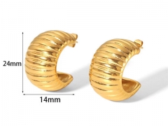 HY Wholesale Jewelry Popular Earrings 316L Stainless Steel Earrings Jewelry-HY0158E0343