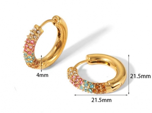 HY Wholesale Jewelry Popular Earrings 316L Stainless Steel Earrings Jewelry-HY0158E0685