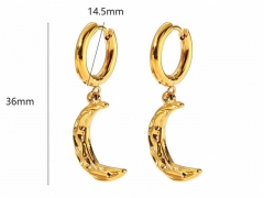 HY Wholesale Jewelry Popular Earrings 316L Stainless Steel Earrings Jewelry-HY0158E0552