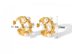 HY Wholesale Jewelry Popular Earrings 316L Stainless Steel Earrings Jewelry-HY0158E0213