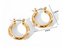 HY Wholesale Jewelry Popular Earrings 316L Stainless Steel Earrings Jewelry-HY0158E0778