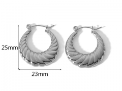 HY Wholesale Jewelry Popular Earrings 316L Stainless Steel Earrings Jewelry-HY0158E0320